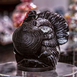 Meet your Posher, Maureen